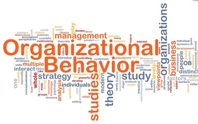 Management Concepts and Organizational Behavior Course Image